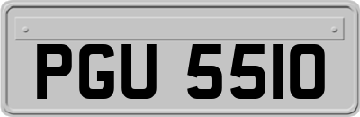 PGU5510