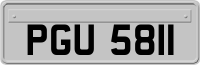 PGU5811