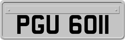PGU6011