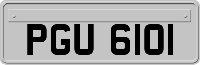 PGU6101