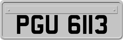 PGU6113
