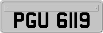 PGU6119