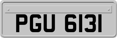 PGU6131