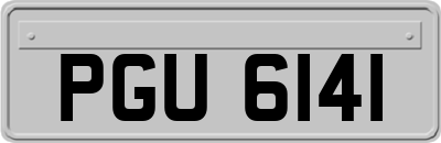 PGU6141