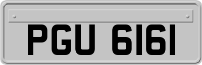 PGU6161