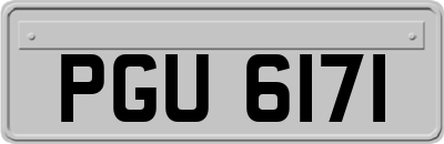 PGU6171