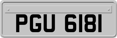 PGU6181