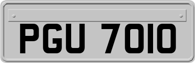 PGU7010