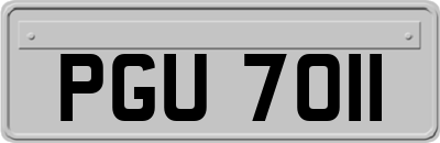 PGU7011