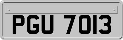 PGU7013
