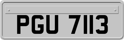 PGU7113