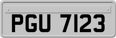 PGU7123