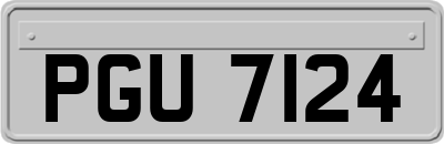 PGU7124