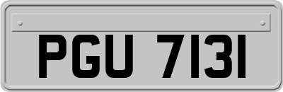 PGU7131