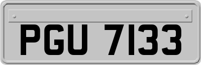 PGU7133