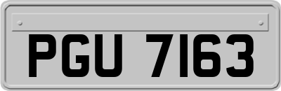 PGU7163