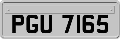 PGU7165