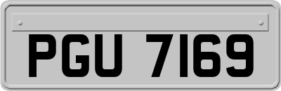 PGU7169