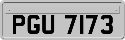 PGU7173