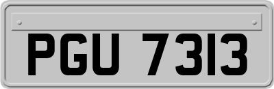 PGU7313