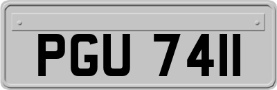 PGU7411