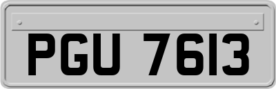 PGU7613