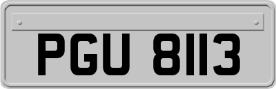 PGU8113