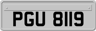 PGU8119