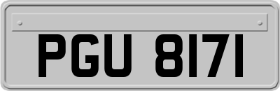 PGU8171