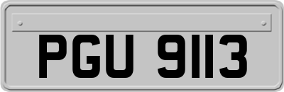 PGU9113