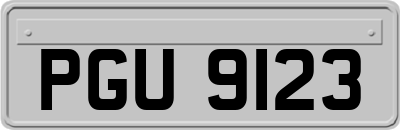 PGU9123