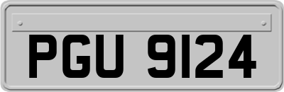 PGU9124