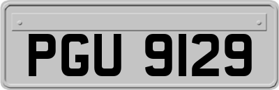 PGU9129