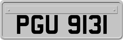 PGU9131
