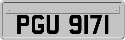 PGU9171