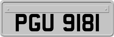 PGU9181