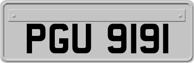PGU9191