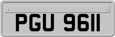 PGU9611