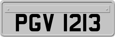 PGV1213