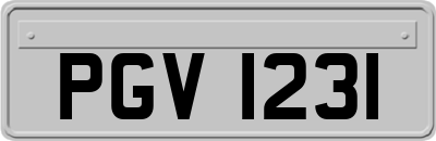 PGV1231
