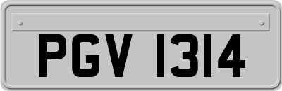 PGV1314