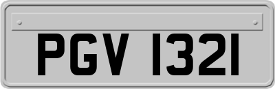 PGV1321