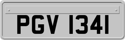 PGV1341