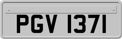 PGV1371