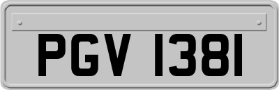PGV1381