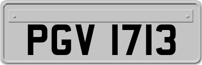 PGV1713