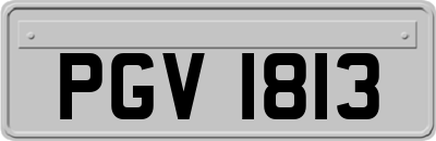 PGV1813