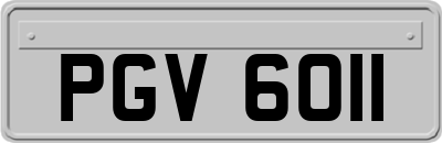 PGV6011