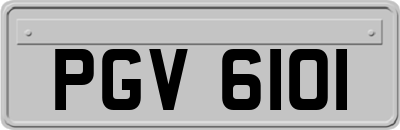PGV6101