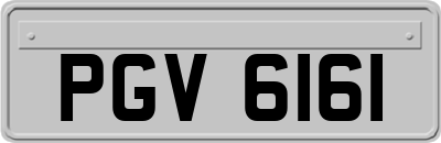 PGV6161